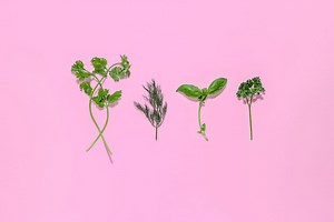 7 Cilantro Substitutes for People Who Hate the Stuff