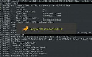 Linux kenel early panic on GCC 10
