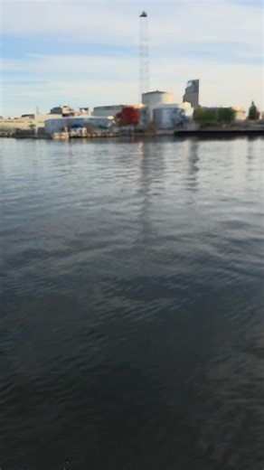 gravytrain (@gravytrain41)’s videos with walking on a dream by empire of the sun - sophie