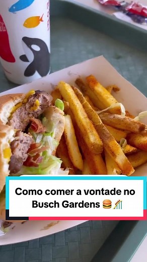 Como Comer Bem e Economizar no Busch Gardens Tampa