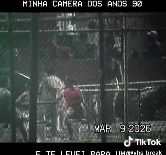 Laços de Família: A Nova Novela das Oito