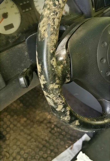 Exploring the Audi RS2 Orchard Find