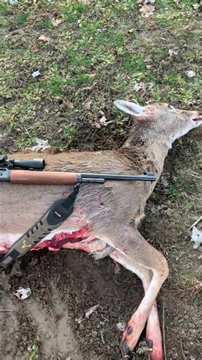 Marlin 45-70 doe this morning