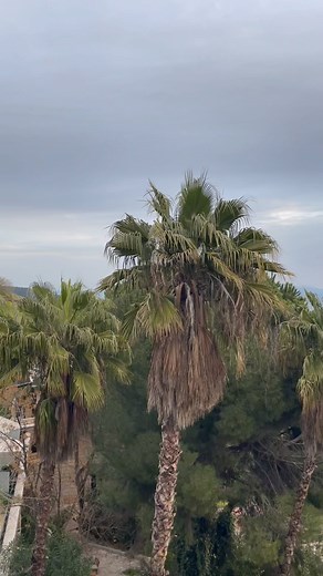 15K views · 2.4K reactions | Well good morning, Sea of Galilee! | Lisa Harper | Facebook