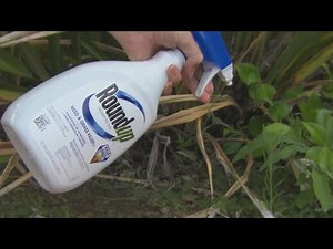 Jury awards $289 million to man who claims he got cancer from Roundup