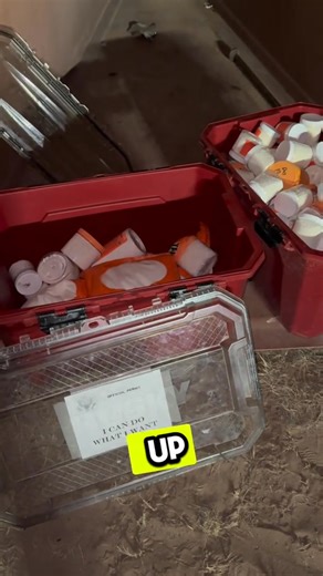 Daily Challenge: 1 Pound at a Time Until Viral! 🔥 | 1poundeveryday