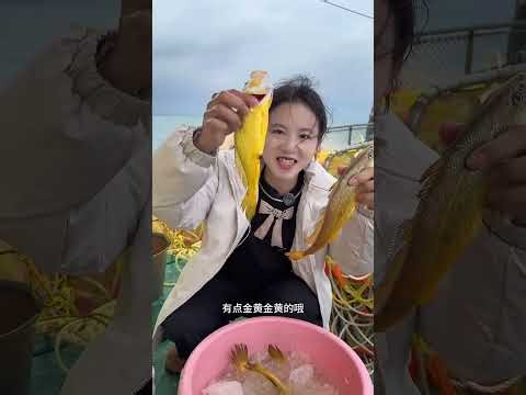 Dive into Thrills: Catching Golden Yellow Croaker at Sea