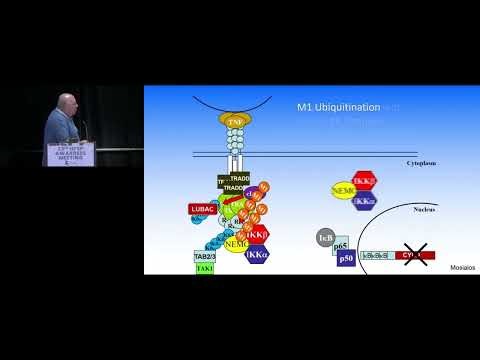 SIGNAL-DEPENDENT REGULATION OF NF-KB ACTIVITY