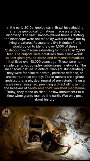 Giant prehistoric sloths dug tunnels over 2,000 feet long in ancient Brazil. #history #archaeology #ancientdiscoveries | Historix
