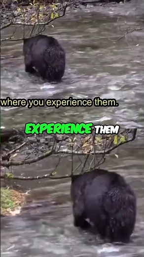 How to Solve Your Problems: Change Your Mindset!