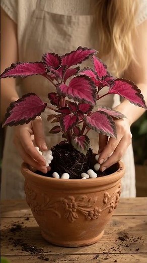 How to Create a Stunning Indoor Plant Setup 🌿💖 | Pink & Purple Plant Potting & Decor