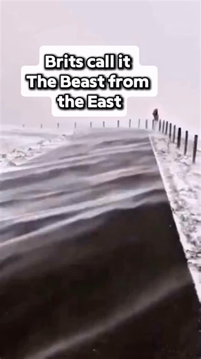 When a country names a snowstorm you know it’s going to be hardcore! 🥶 What do you call this? | Very Finnish Problems