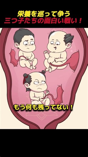 栄養を巡って争う三つ子たちの面白い戦い！