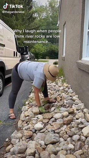 Low-Maintenance River Rock Landscaping Ideas