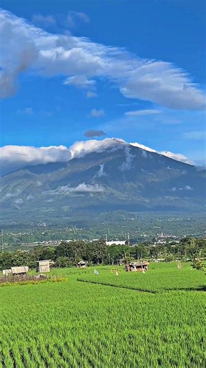 Exploring Gunung Arjuno in Lawang Malang