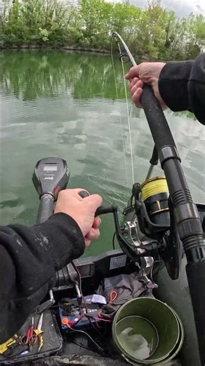 Catfish Strike 🔥🤯! Watch That Rod Tip 😃 | Vertical Catfish Fishing from the Boat