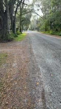 Calculate the speed. Comment down below #math #mathmatics #minibike