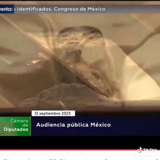 Shocking Revelation: Alien Bodies Revealed by Mexican Government