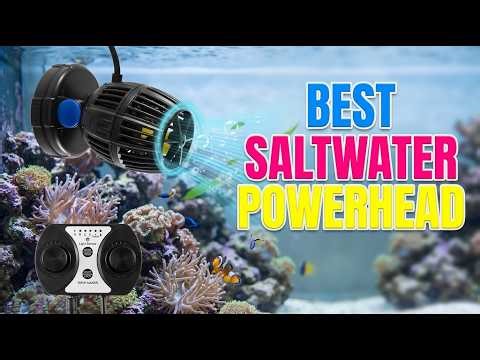 TOP 5 Best Powerheads for Saltwater Aquariums 2026