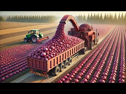 Revolutionizing Onion Farming Advanced Technology for Higher Yields & Freshness 🌱🚜