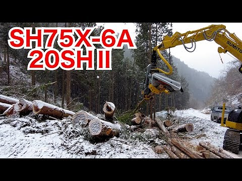 【林業機械】ハーベスターケスラー新車“258“