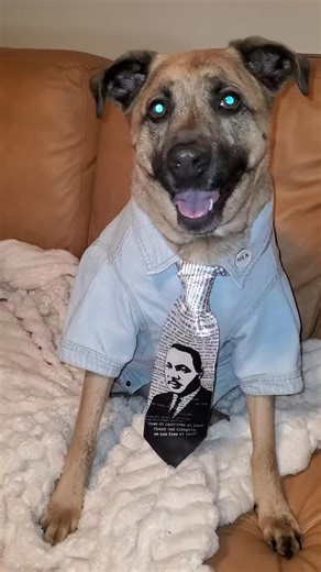 Prince on Instagram: "✨ HAPPY M.L. KING DAY ✨ “If your calendar says ‘off’ today… your purpose didn’t get the memo.” ✊🏽 Martin Luther King Jr. Day isn’t a day off — it’s a day ON with a purpose. Rest is allowed. Silence isn’t. This day isn’t about stepping away from the work — it’s about stepping into it. 🤍 Show up today by serving: • Volunteer at an animal shelter 🐶 • Donate food, coats, or time 🥫 • Help a neighbor, mentor, or community group 🤝 Why celebrating MLK Day through service matte