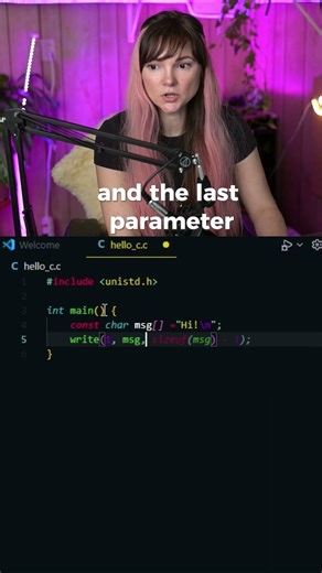 Write System Call Parameters