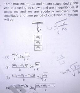 Three masses m_{1}, m_{2} and m_{3} are suspended at the end of... | Filo