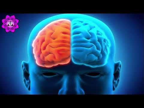 Neuroplasticity Meditation | Theta Binaural Beats | Rebuild Your Brain | Brain Healing Sounds