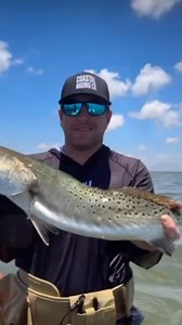 Cool video from @capt.mark_calderon guide service! Having success...