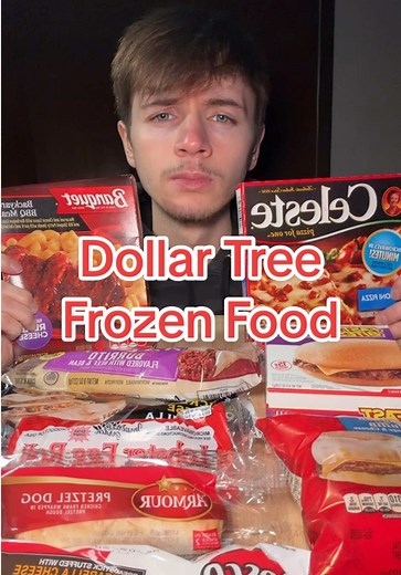 Dollar Tree Frozen Food Review: Taste Test Results