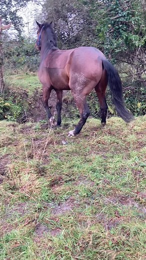 Sarah Maxwell on TikTok