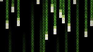 【THC搬运】吹一波up主的系：埃默里大学 数据科学系QTM Data Science and Liberal Arts @ Emory