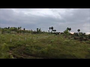 Making natural farming compulsory in school | SIDP| idea submission