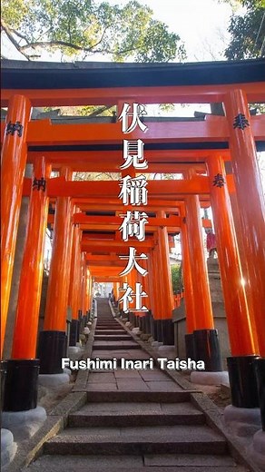 千本鳥居の神秘！伏見稲荷大社を歩く ⛩✨ #伏見稲荷大社 #京都 #神社