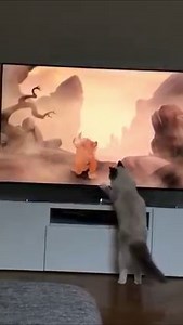 1.4K views · 38 reactions | Cat reaction to Mufasa death scene from The Lion King Source: SAGA YouTube | Disney Dave | Facebook