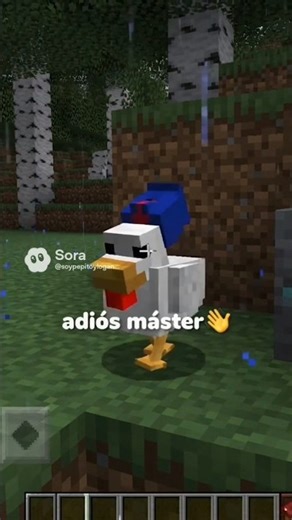 adios master