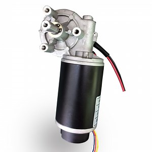 [Hot Item] 12 Volt DC Motor Hall Sensor Worm Gearmotor for Lifting Machine