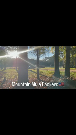 1.1K views · 5.6K reactions | Mountain Mule Packers are on the move.....mules heading back to WNC to assist with some specific support teams. 𢡊➕✖️𢡊❤️ #mountainmulepackerranch #mountainmulepackers #mulepower #wethepeoplehelpingwethepeople #butgod | Mountain Mule Packer Ranch | Facebook