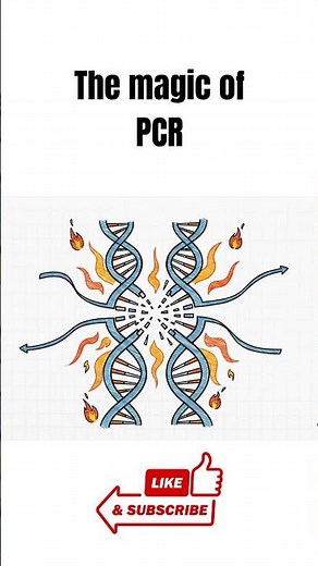 The magic of PCR