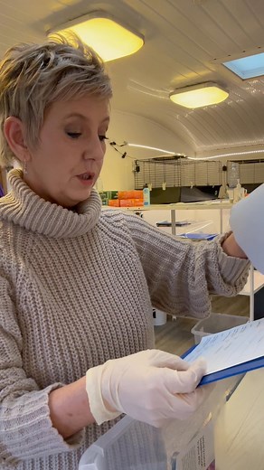 Another Hoggy who’s just about at release weight! Chloe has had treatment for fluke, lungworm & roundworm. Now she’s healthy and grown she’s waiting for a break in the weather! Once I can get all these hoggies released it will open up some space for some newcomer’s. For now, we are at capacity! | Spiny Norman’s Hedgehog Support