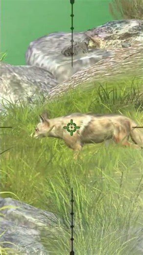 Hunting Clash #gameplay #gaming