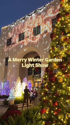 25K views · 990 reactions | This annual animated holiday light...