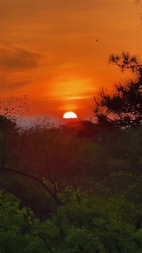 This is one of my favorite secret spots on the Cape. You’ll never find it on a GPS.. it’s on the Outer Cape and you have to walk about a half mile through a trail. Again, not on a map.. I found it on accident when I was in my 20s and I used to explore Provincetown and Truro. On my.. one day I was going down a dirt road through the dunes and I pulled over and I saw this little trail.. and I walked down it. It was around 5 AM. I couldn’t sleep.. I walked down this trail by myself. There was this l