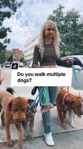 Walk multiple dogs with these four game-changing tools from TinyHorse: the Leader, the Handler, connecting rings and Lead-All leashes. These designs are available in both waterprood Biothane and nylon webbing. Designed and made in Canada! #dogwalker #dogsoftiktok #dogwalkersoftiktok #doghiker #smallbusiness #doghack #fypシ