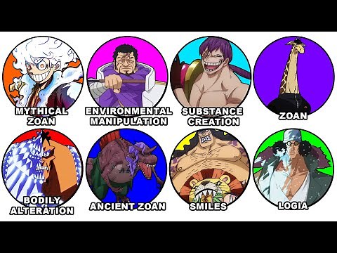 Every Types Of Devil Fruits in One Piece Explained in 20 Minutes