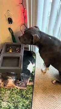 “But when you do a charitable deed, do not let your left hand know what your right hand is doing,”‭‭