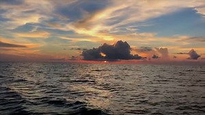 Sailing, diving, fishing, shark encounters.... and the list goes on. The Bahamas Explorer voyage is one of a kind and truly off the beaten path! Thanks to student Tyler Y. for the awesome video! | SeaTrek BVI
