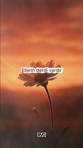 Çiçekten Harman Olmaz – Volcano | Yeni Anonim Türkü | #shortmusic