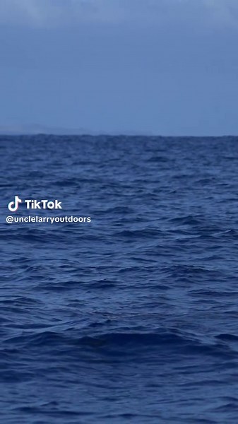 Fluorocarbon Fishing Techniques for Wahoo